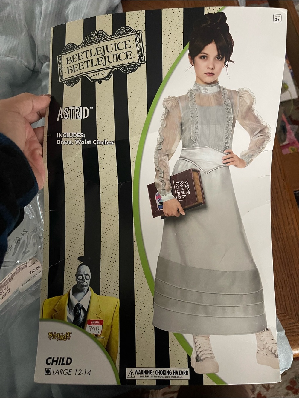 Astrid Girls' Beetlejuice Halloween Costume in Light Gray